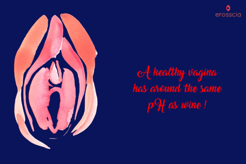 Rotating gif image of contemporary artwork of a vagina with the words " a healthy vagina has around the same pH as wine"!