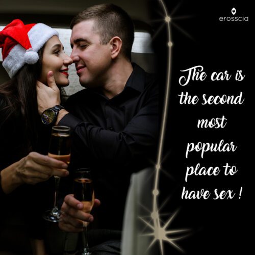 Weihnachtspaar mit Champagner auf dem Rücksitz beginnt Liebe zu machen. Sie können den vollständigen Artikel lesen, indem Sie auf den Link http://www.erosscia.com/pleasure-pod/ klicken.