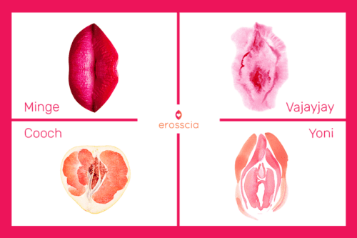 4 images suggestives de vagins féminins avec tous les différents mots utilisés pour décrire les vagins