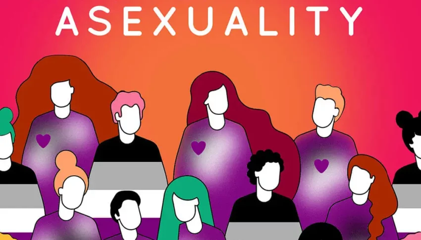 Asexual Doesn’t Mean Apleasure!: The World Of Sex Toys & Sex For Ace People 